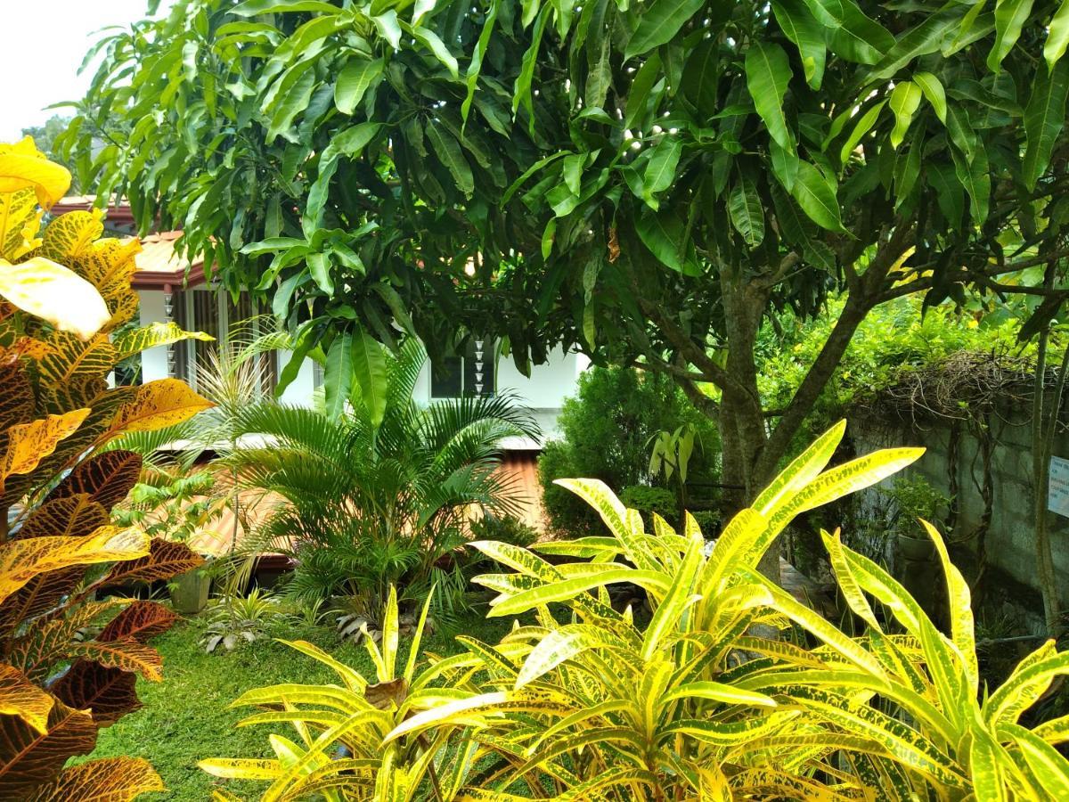 Sandhara Home Stay Tangalle Exterior photo